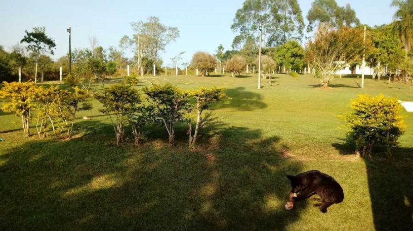 Aluguel de sítio em feriado