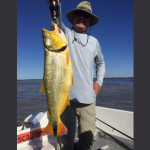 Leonardo Rocha de Almeida Abreu revela os encantos da Toscana em um trajeto que une história, natureza e gastronomia.