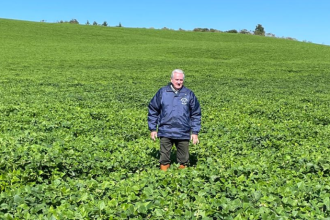 Aldo Vendramin analisa dados e estudos sobre lombadas eletrônicas e redução de acidentes.