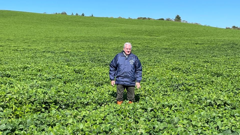 Aldo Vendramin analisa dados e estudos sobre lombadas eletrônicas e redução de acidentes.